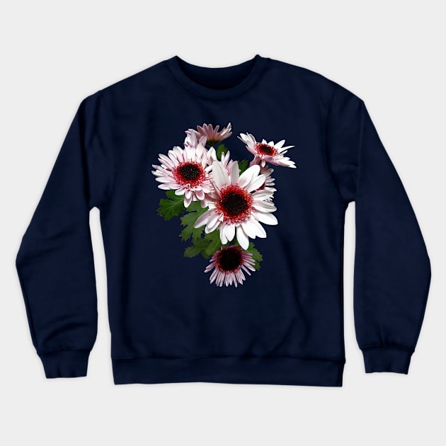 Chrysanthemums - Light Pink Mums With Dark Pink Center Crewneck Sweatshirt by SusanSavad